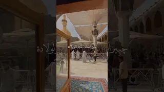 چبير الساده شطر مرحب جبير الساده خادم اله ولولادة  عباس عجيد العامري ستوريات حسينيه ياعلي مدد دندنها