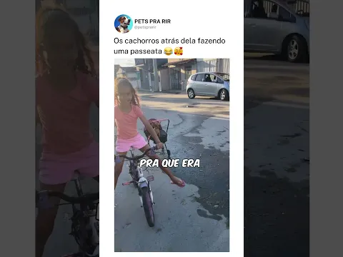 Os cachorros atrás dela fazendo uma passeata ❤️🤣