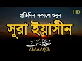 Download Lagu প্রতিদিন সকালে শুনুন - সূরা ইয়াসীন |( سورة يس) Surah Yasin | সকালের সেরা আমল | By ALAA AQEL