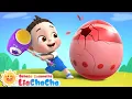Download Lagu Lagu Telur Kejutan | Pelajari Warna | Lagu Lucu | Lagu Anak-anak | LiaChaCha Bahasa Indonesia