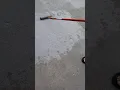 HousZ DIY Behr Premium Floor Coating Paint Granite Grip before after application review and tips