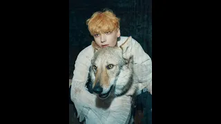 فرقة TXT في الصور التشويقية من أجل عودتهم بألبوم The Name Chapter FREEFALL كوريا كيبوب فرقة 