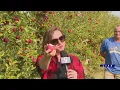 Around Town - Keller s Farmstand