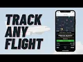 How to Check Flight Status