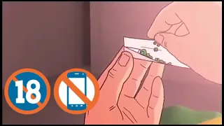 كاس ورا كاس دندنها