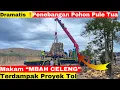 Lagu Alat Berat Sampai Lelah❗️ Pohon Pule Makam Kyai Kromo Ijoyo Ditebang Disertai Ritual - Terdampak TOL