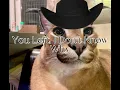 Tragos Amargos - Ramón Ayala, English Translation