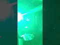 Download Lagu Hoeksche Herrie Maasdam Dj Promo GRF Audio Speaker Setup Early Hadrcore Party