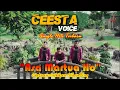 ASA MARTUA HO || CEESTA VOICE || LAGU BATAK TERBARU