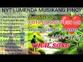 Download Lagu Beautiful Song BATO BA ANG PUSO MO Nonstop MP GROUP Nyt Lumenda Musikang Pinoy