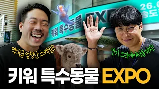 2일동안 45,000명이 몰린 생물 엑스포… 역대급 현장이 난리났습니다...ㅋㅋㅋ
