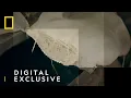 Download Lagu Inside An Illegal Meth Super-Lab | Trafficked | National Geographic UK