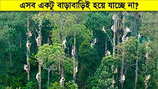 ভাগ্য খুব বেশি খারাপ না হলে এসব জিনিস ঘটে না ! ভিডিওটা দেখলেই বুঝবেন…
