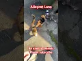 Download Lagu Alleycats #love #cat #cute #cats #shorts #animals #nature #shortvideo