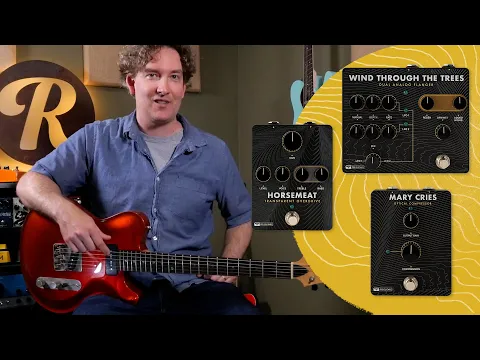 PRS Guitars Wind Through The Trees | Delicious Audio