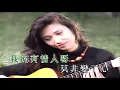 我有一段情-蔡琴 伴奏 KARAOKE