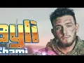 Wayli  - Al Shami 2026 / الشامي وببجي موبايل - ويلي I Trend Arabic Songs 2026🎧Arabic Pop Music 2026
