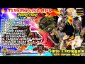🔥TERBARU LAGU MP3 TOPENG IRENG. TOPENG SIMO MENGGOLO