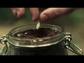 THE SEED // Inspirational Short Film