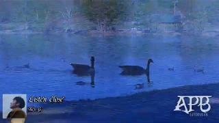 silver lake nature time alex g listen close u0026 part of this