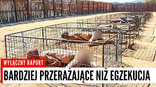 Rosyjskie Więzienie Sowa – WięźNiowie Spodziewają Się śMierci Przy minus PięćDziesięciu Stopniach Ce