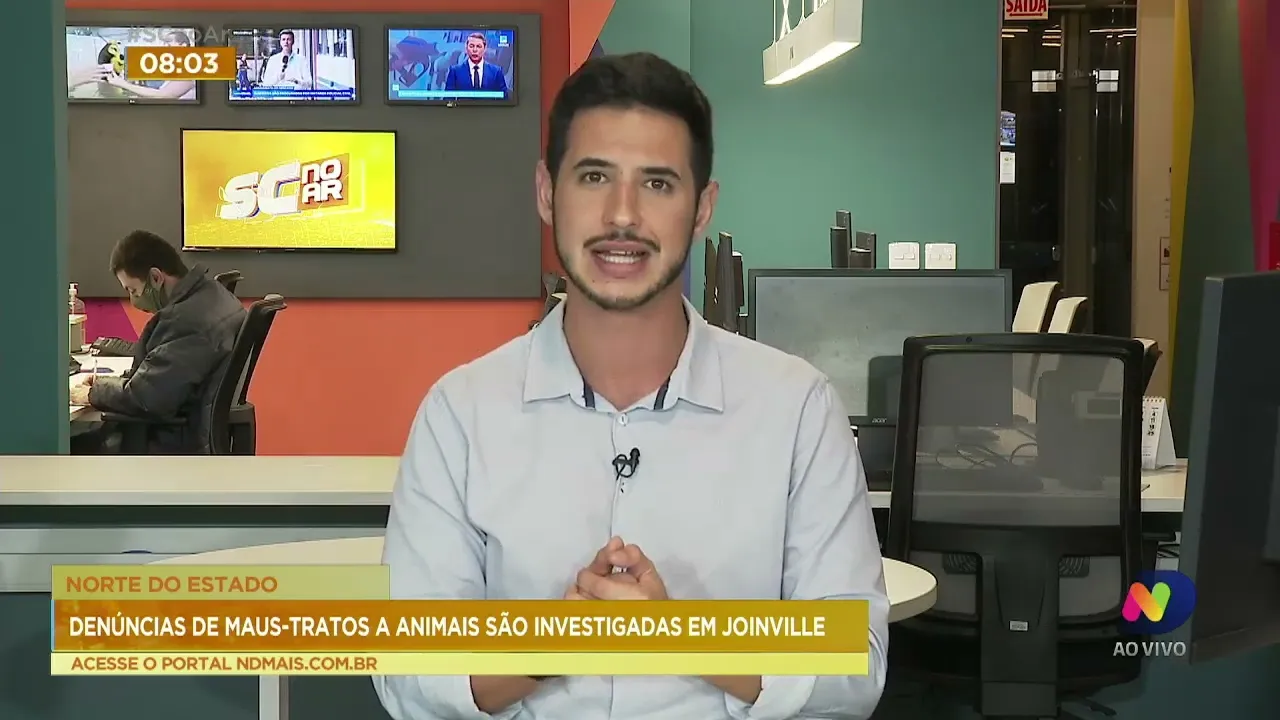 Denúncias de maus-tratos a animais são investigadas em Joinville