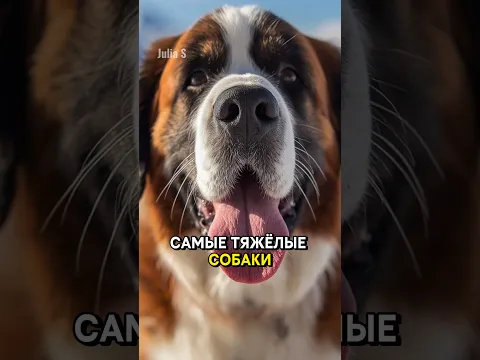 Интересные Факты О Животных