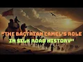 The Bactrian Camel s Role in Silk Road History
