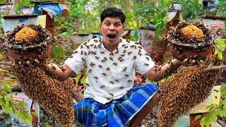 The Full Process of Harvesting Pure natural Honey | തേനീച്ച ഇത്രയ്ക്ക് പാവമായിരുന്നോ?