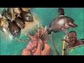 Download Lagu Spearfishing on the reef to feed my family