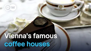 Why Vienna s coffee houses are a real institution Cheers Chats Ep 1