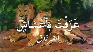 عزفت بأعشاش وما كدت تعزف   الفرزدق دندنها