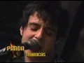panda-maracas en vivo