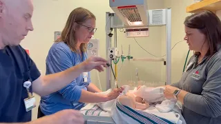 neonatal resuscitation in five minutes 