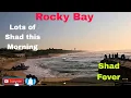 Download Lagu OFFROAD4LIFE, Fishing in Rocky Bay, KZN, South Africa.