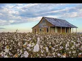 Cotton Fields - The New Christy Minstrels