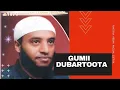 Download Lagu Manzuumaa Raayyaa Abbaa maccaa 22ffaa Guutuu isaa \