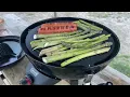 Coleman 4 in 1 cooking system let s review it