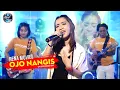 Ojo Nangis - Rena ft Sodiq New Monata ( musik video )