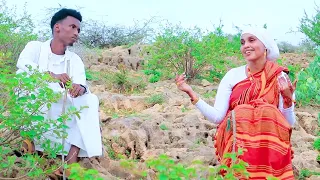 DHAANTO CUSUB MAXAMED TAANI HODAN DAWO OFFICAL VIDEO 2025 