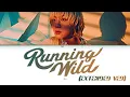 Download Lagu Jin (진) 'Running Wild (Extended Ver)'  (Color Coded Lyrics)