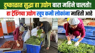 भाजीपाला प्रक्रिया उद्योग | Tomato, Onion, Moringa Dehydration Business | शोध वार्ता | Shodh Varta |