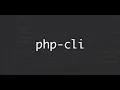 Top CLI commands for PHP developers PHP cli php terminal commands developer Sharif