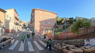                            دندنها