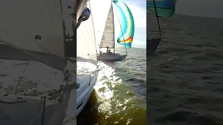 #sailing #racing #water