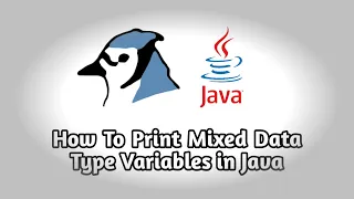 How To Print Multiple Variables in Java A PROG-12 UC