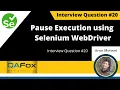 How to pause execution using Selenium WebDriver Interview Question