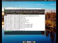 Building your first Android App via the command line YouTube