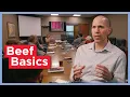 Beef Basics Learning the Industry National Beef
