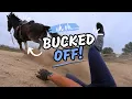 I Get BUCKED Off First Lesson On Beau